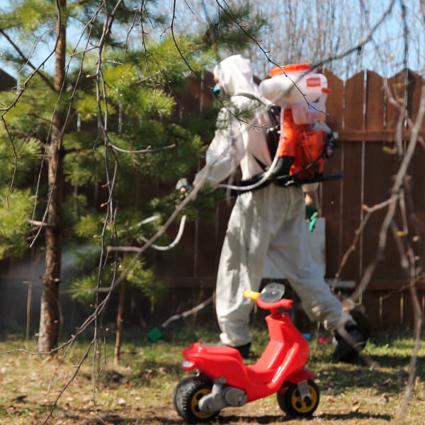 Обработка участка от клещей в Борисове?